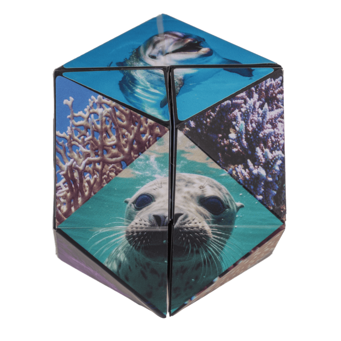 Kostka Bez Końca Sea Life – antystresowa zabawka z oceanem  (5).png