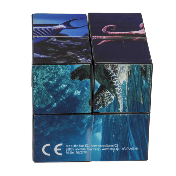 Kostka Bez Końca Sea Life – antystresowa zabawka z oceanem  (8).png