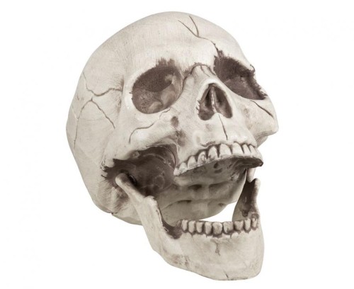 Czaszka z uchylną szczęką 20 cm – dekoracja i gadżet Halloween