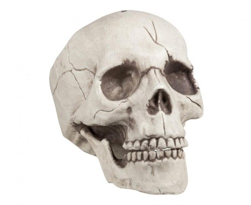 Czaszka z uchylną szczęką 20 cm – dekoracja i gadżet Halloween