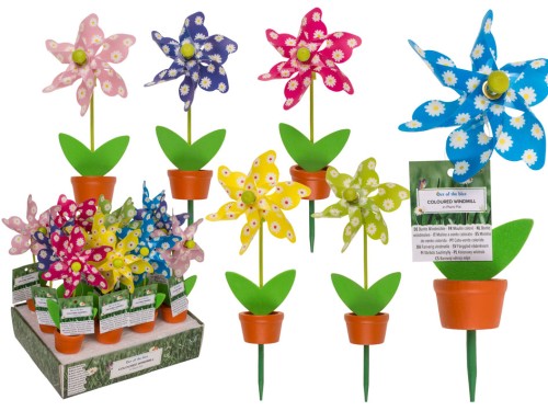 Kolorowy wiatraczek w doniczce – ozdoba ogrodu, balkonu i parapetu  (1).jpg