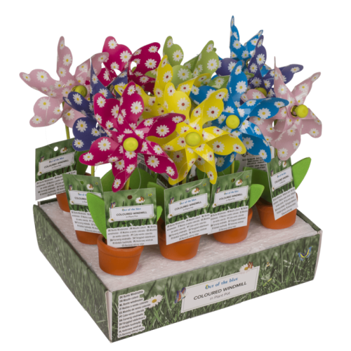 Kolorowy wiatraczek w doniczce – ozdoba ogrodu, balkonu i parapetu  (1).png