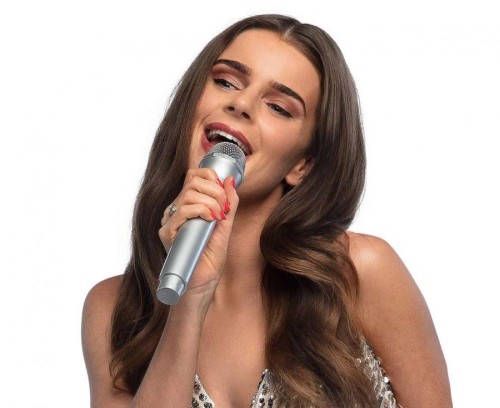 Srebrny mikrofon disco – atrapa do karaoke i zabawy 23,5 cm