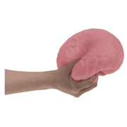 Gigantyczny antystresowy mózg XL – śmieszny gadżet do ściskania i relaksu  (5).png