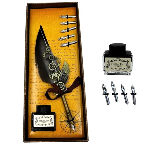 Zestaw do kaligrafii retro - pióro gęsie, 6 stalówek i atrament  (2).jpg