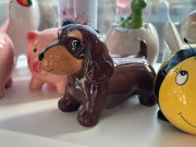 skarbonka jamnik.jpeg