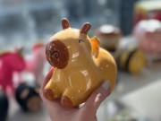 skarbonka kapibara.jpeg