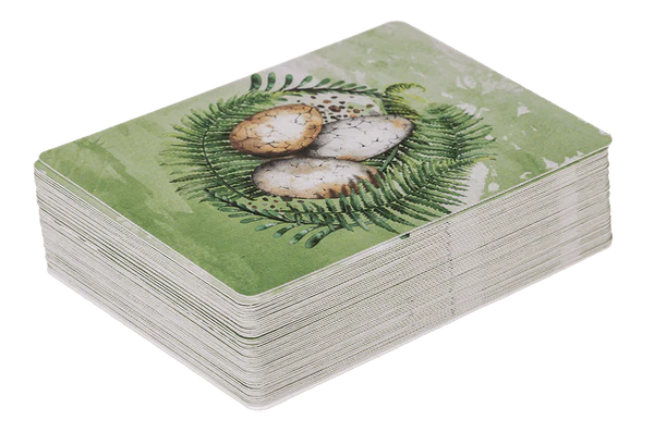 Karty do Gry Dinozaury - Talia 54 Karty T-Rex dla Dzieci Prehistoria  (1).webp