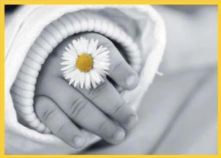 Karnet kolory z kopertą Pocztówka Rączka Dziecka