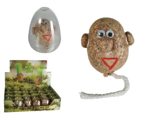 GŁOWA Z TRAWĄ PAN TRAWIASTOGŁOWY HODUJ TRAWĘ 2