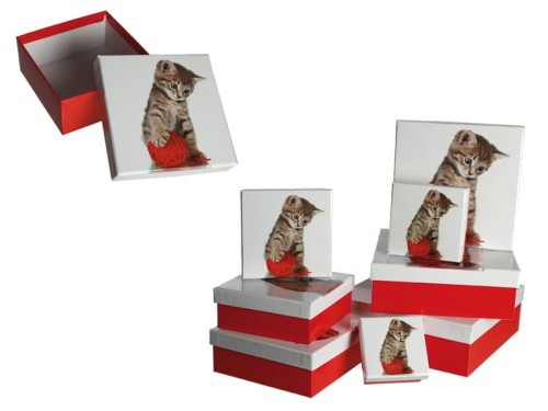 PUDEŁKO OPAKOWANIE 8 SZT PREZENTOWYCH KOT KOTEK CZERWONE