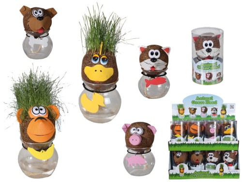 GŁÓWKA Z TRAWKĄ GŁOWA TRAWIASTOGŁOWY HODUJ TRAWĘ 2