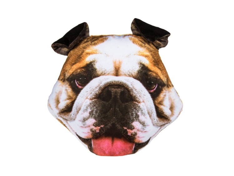 PODUSZKA BULDOG 30 CM PIES 3D USZAMI GŁOWA MASKOTKA