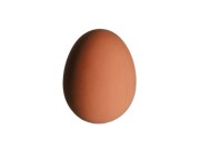 JAJKO DO ODBIJANIA SZTUCZNE PIŁECZKA JAJO GUMOWA 1