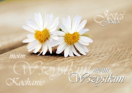 Karnet walentynkowy z kopertą Pocztówka kwiatki