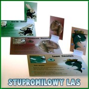STUPROMILOWY LAS GRA IMPREZOWA ALKOHOLOWA TOWARZYSKA 3